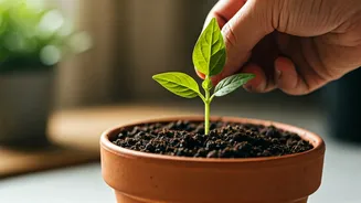 Budget-Friendly Wellness Is Mainstream