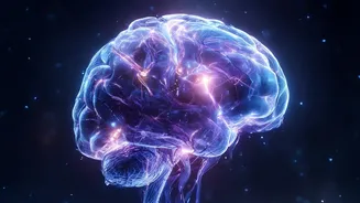 Air Pollution And Dementia Study: Brain Structure Measures Explained