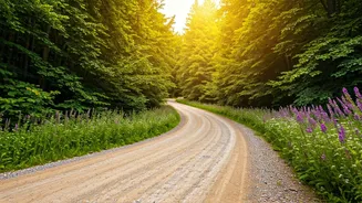 Travellers Want Green Roads, Not Red Alerts