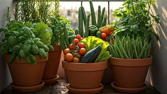 Transform Your Balcony: 8 Easy Summer Vegetables for Urban Gardeners