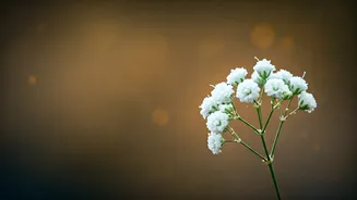 Subtle Strengths: Baby Names Inspired by Quiet, Admirable Everyday Qualities