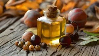 Marula oil: A beauty marvel for skin and hair