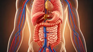 World Homeopathy Day 2026: Unveiling Holistic Healing Beyond Surface Symptoms