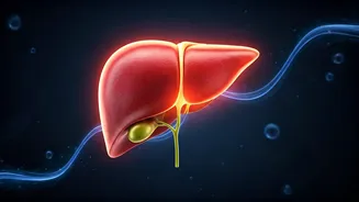 Related Stories banner