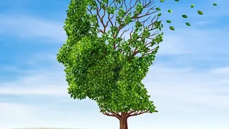 New Memory Research Highlights The Science Of Remembering