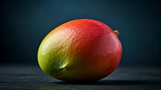 The Most Expensive Mangoes Are Emerging From Lucknow Today