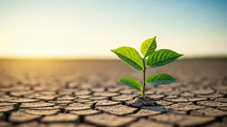 Climate Literacy Is Becoming Essential