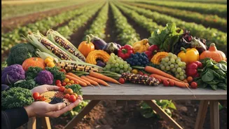 Crop Diversity And Hidden Hunger could help regions improve both resilience and nutrition
