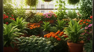 Balcony Plants Are Trending Again