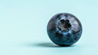 10 Foods for a Razor-Sharp Mind: Boost Your Memory!