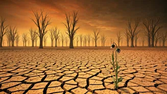Monsoon Weakness Could Affect More Than Farmers