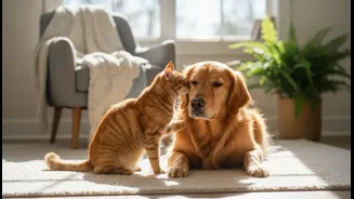 Dog and Cat Interactions Makes Momentary Pet Contact, Not Simple Ownership More Relevant to Pet Owners and Wellbeing Readers