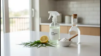 The Vinegar, Neem and Baking Soda Questions Renters and Home Cleaners Should Ask About Low-Chemical Monsoon Cleaning