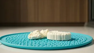 Beat Rainy Day Blues Freezing Curd Inside Licking Mats