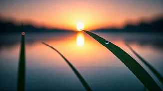 5 AM Affirmations: Reset Your Day for Peace and Productivity