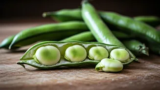 Fava Beans Could Be The Next Pantry Star