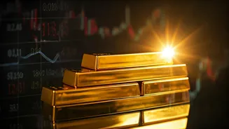 Foreign Institutional Investors: A Market Overview