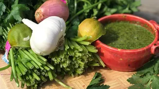 These cilantro recipes are perfect for herb lovers