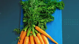 What Vitamin a Precursors in Carrot Nutrition Means for Carrots Versus Spinach Nutrition