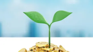 EPF And NPS Are Not The Same: Key Differences Every Salaried Saver Should Know