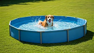 Beat Severe Summer Heat Using Dedicated Backyard Canine Pools