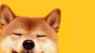 Pet-Safe Floor Care Begins with Correct Dilution