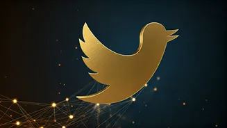 X: Your Secret Weapon for Landing a Job in India