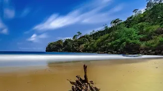Solo Traveller Guide: Discover Serene Agonda And Galgibaga Beaches In South Goa