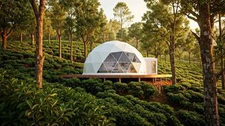 Munnar Cardamom Plantations Host Elite Geodesic Glamping Honeymoon Escapes