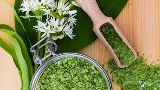 Forest Ingredients Bring Wild Herbs, Leaves And Seasonal Produce Into Focus, With Need Responsible Sourcing And Careful Identification In Focus