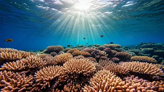 Southeast Asia Beckons: Top Destinations for Your Bucket List