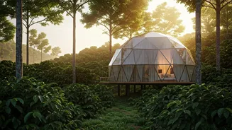 Secluded Geodesic Cabins In Chikmagalur Define Ultimate Honeymoon Goals