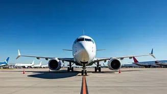 IndiGo's Rise & Fall: Challenges in India's Aviation Sector