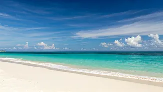 7 Dreamy Honeymoon Spots in India: November 2025 Edition