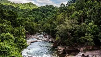 ಪೂರ್ವಕ್ಕೆ ಅಲ್ಲ, ಪಶ್ಚಿಮಕ್ಕೆ ಹರಿಯುವ ನದಿ ಯಾವುದು?