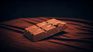 Chocolaty Caper: Kerala Tourism Joins Viral Trend, Offering a 'Proper Break'