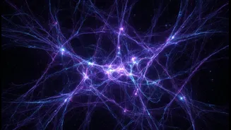 Sheffield's Model May Help Physicists Design More Focused Dark-Matter Experiments