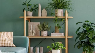 The Rise Of Circular Decor Is Changing How Indian Homeowners Shop For Furniture And Accessories