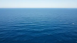 The New Ocean Iron Study Offers A Closer Look At Ocean Fertilisation Limits