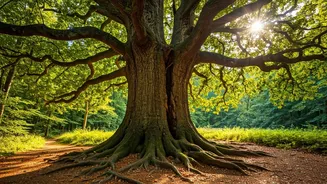 Navigating Challenges: A Simple Guide for Resilience