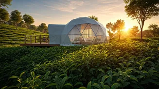 Private Glamping Domes Overlooking Rich Tea Gardens Offer Ultimate Escape