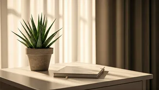 Unlock Serene Mornings: The Science Behind Peaceful Starts