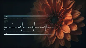 Late Motherhood Unveiled: Navigating Pregnancy Risks and Realities After 35