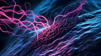 New Breast Cancer Drug Combo Shows Promising Results in Halting Disease Progression