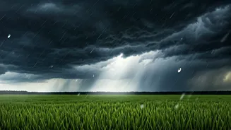 Maharashtra Weather Update: Mumbai, Thane, Nashik Brace for Showers; IMD Issues District-Wise Warnings