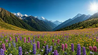 Adventure-Loving Indian Youth Are Trekking To Valley Of Flowers