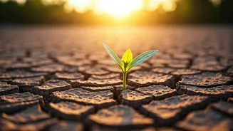 6 Practical Weight Loss Motivation Tips That Truly Work