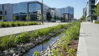 Urban India And Waterlogging: Beyond The Pumping Approach