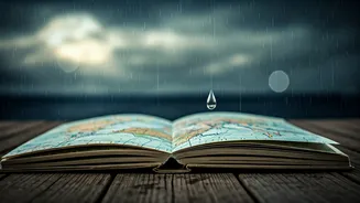 Read IMD Updates Before Booking Rainy Trips