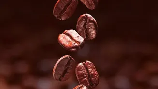 Coffee-Chicory Shopping Becomes More Transparent When Percentages Lead the Label